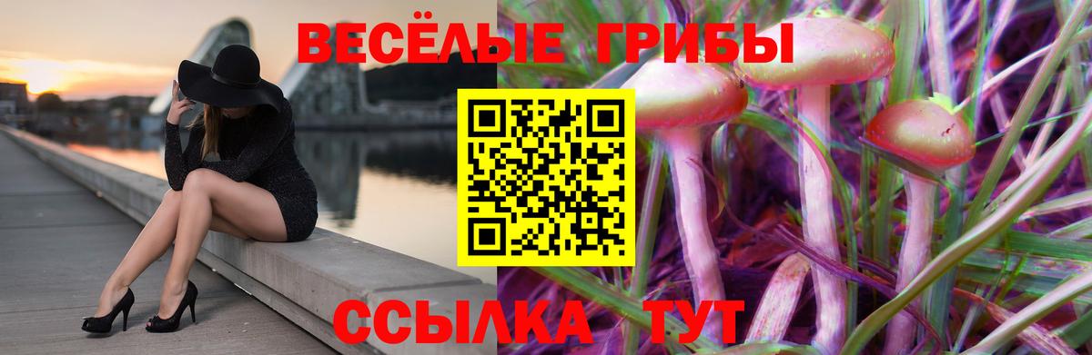 Псилоцибиновые грибы MAGIC MUSHROOMS  Галлюциногенные грибы Psilocybine cubensis  Краснокаменск  Вход с VPN 